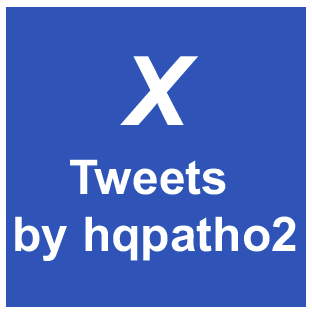 X Tweets by hqpatho2
