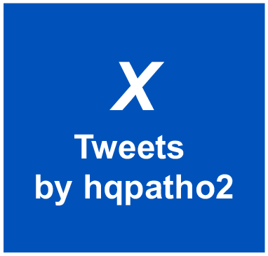 X Tweets by hqpatho2