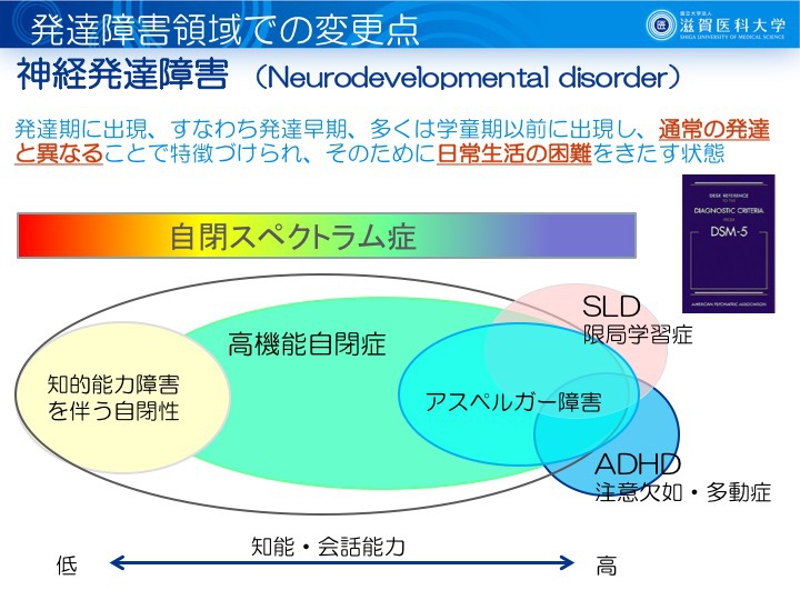 Adhd asd 併発