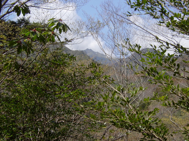 SANY0025.JPG