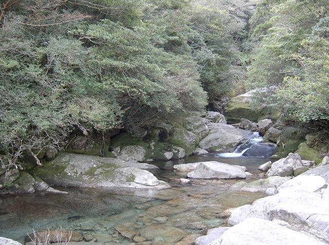 SANY0054.JPG