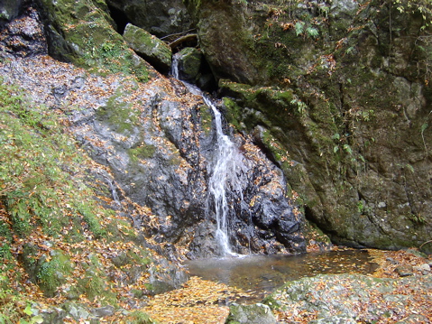 SANY0031.JPG