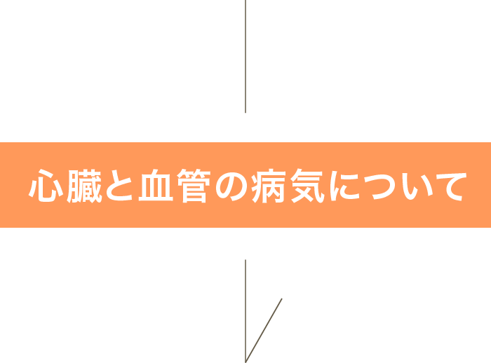 心臓と血管の病気について