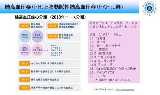 肺高血圧症