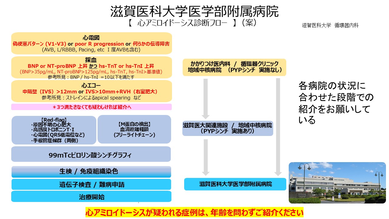 心アミロイドーシス（野生型）