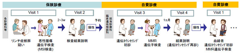 検査の流れ_家族性腫瘍関連遺伝子検査（リンチ症候群）