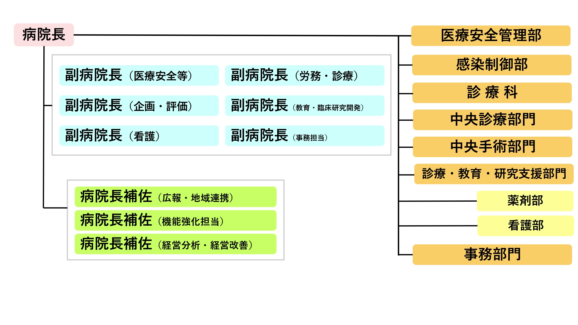 病院組織図202404