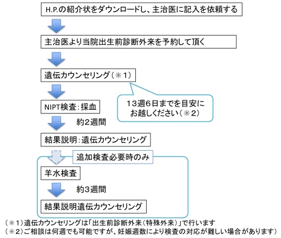 NIPT受検フロー