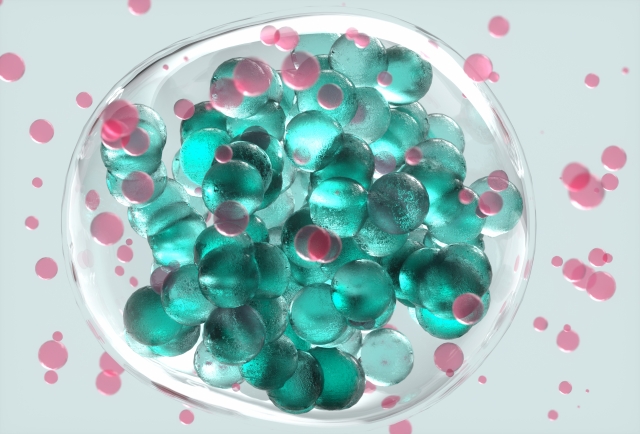 C[W01