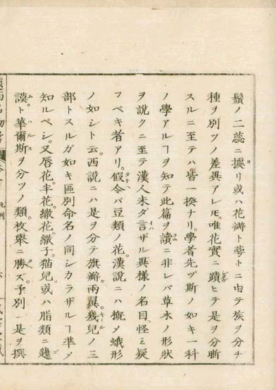 ensei iho meibutsuko v.1