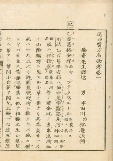 ensei iho meibutsuko v.1