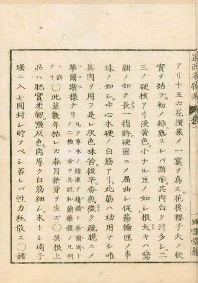 ensei iho meibutsuko v.1