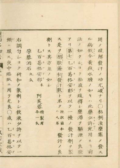 ensei iho meibutsuko v.1