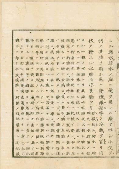 ensei iho meibutsuko v.1