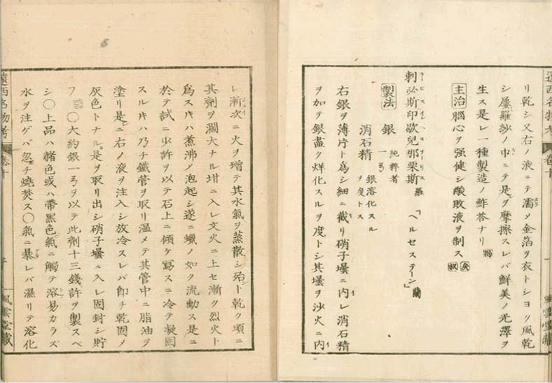 ensei iho meibutsuko v.10