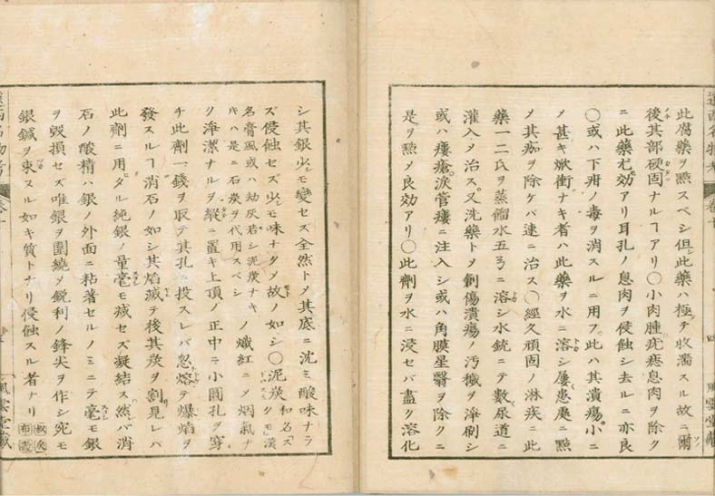 ensei iho meibutsuko v.10
