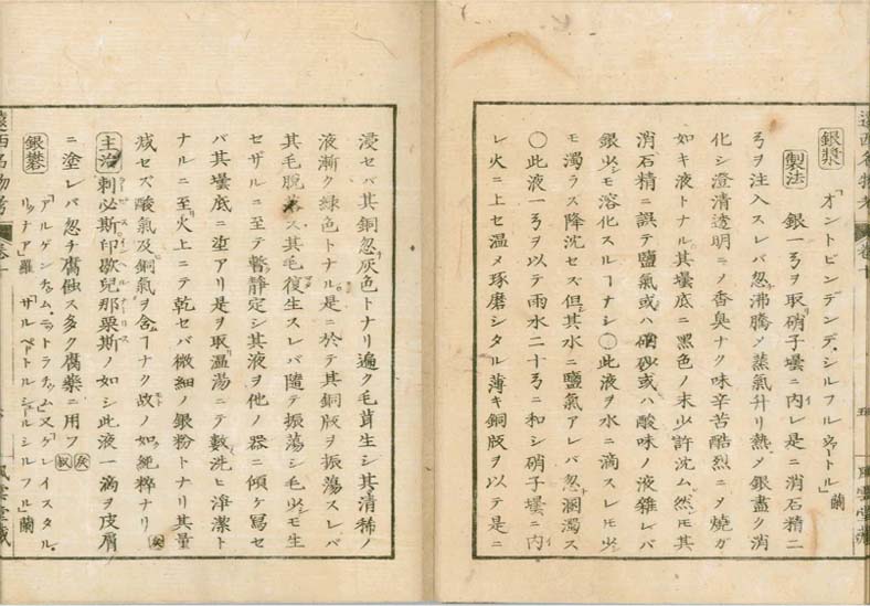 ensei iho meibutsuko v.10