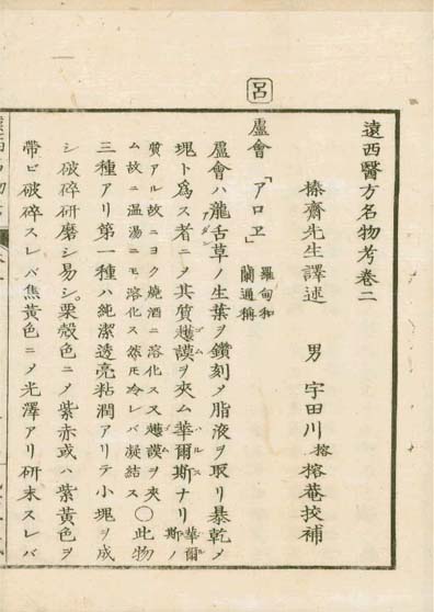 ensei iho meibutsuko v.2