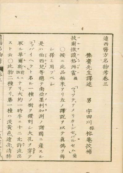 ensei iho meibutsuko v.3