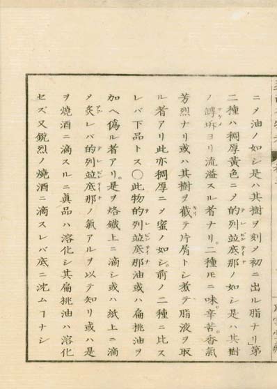 ensei iho meibutsuko v.3