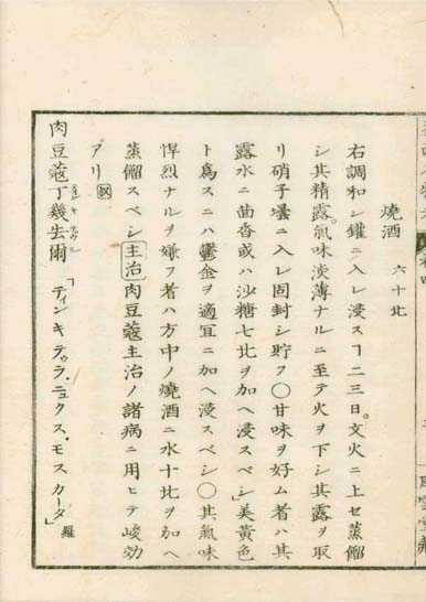 ensei iho meibutsuko v.4