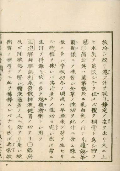 ensei iho meibutsuko v.4