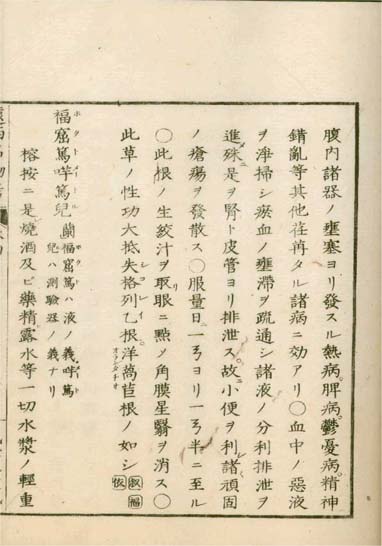ensei iho meibutsuko v.4
