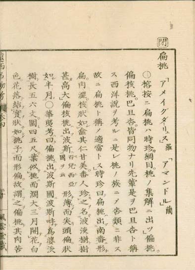 ensei iho meibutsuko v.4