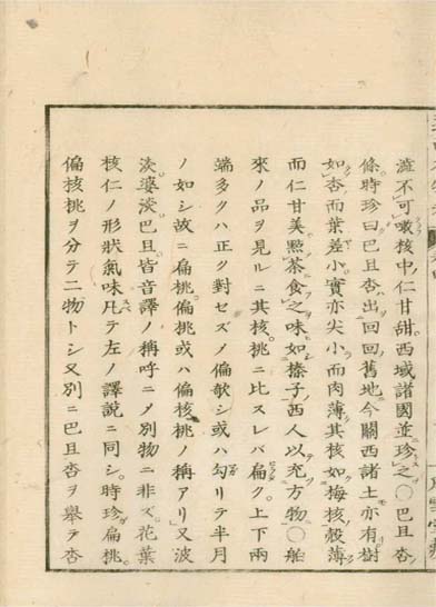 ensei iho meibutsuko v.4
