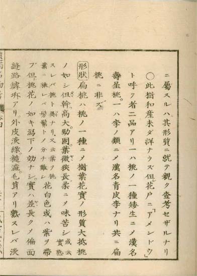 ensei iho meibutsuko v.4