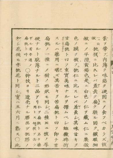 ensei iho meibutsuko v.4