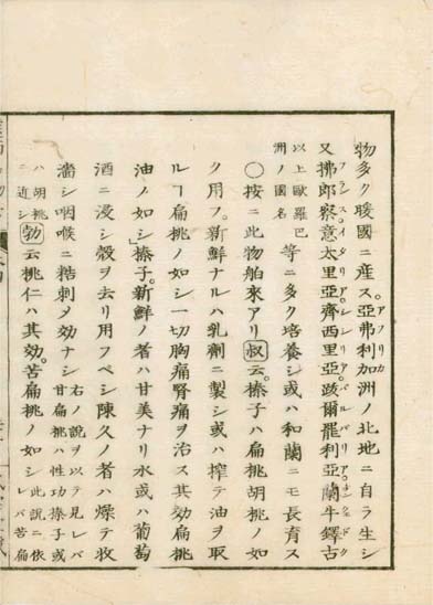 ensei iho meibutsuko v.4