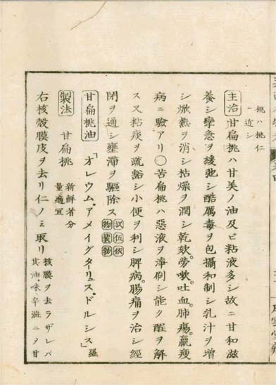 ensei iho meibutsuko v.4