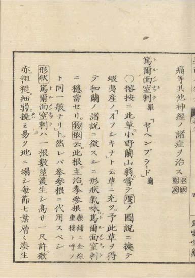 ensei iho meibutsuko v.5