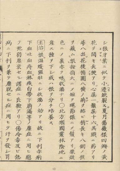 ensei iho meibutsuko v.5