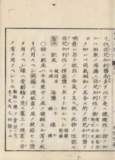 ensei iho meibutsuko v.5