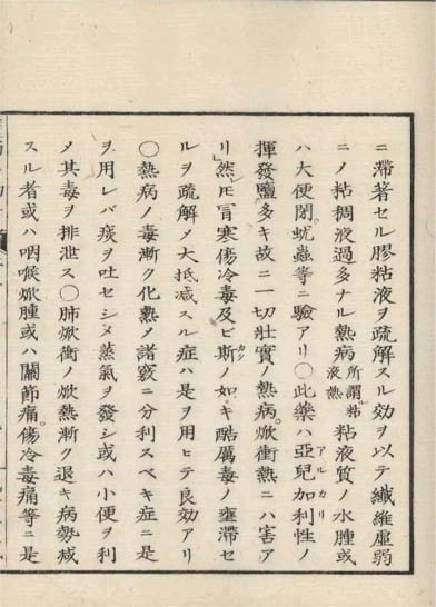 ensei iho meibutsuko v.5
