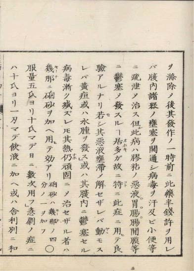 ensei iho meibutsuko v.5