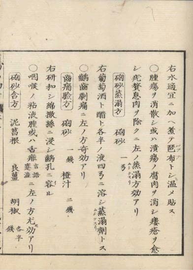 ensei iho meibutsuko v.5