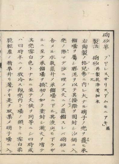 ensei iho meibutsuko v.5