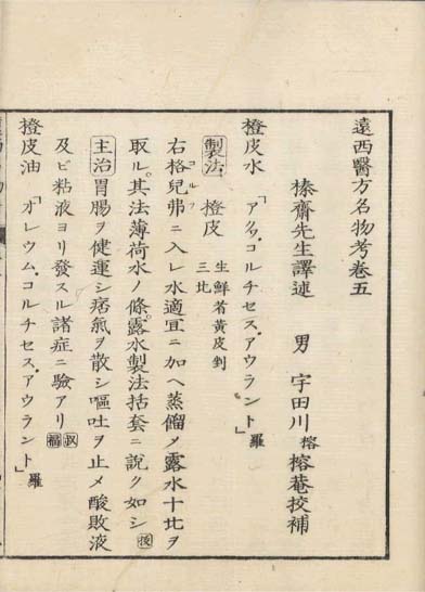 ensei iho meibutsuko v.5