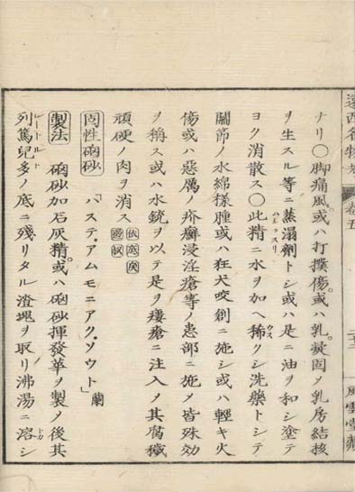 ensei iho meibutsuko v.5