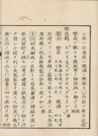ensei iho meibutsuko v.5