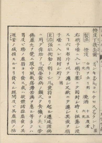 ensei iho meibutsuko v.5
