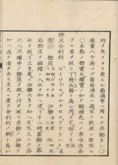ensei iho meibutsuko v.5