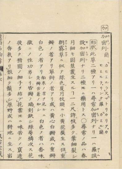 ensei iho meibutsuko v.6