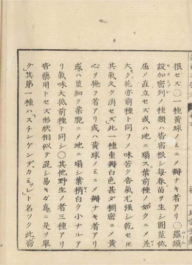 ensei iho meibutsuko v.6