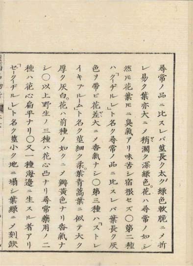 ensei iho meibutsuko v.6
