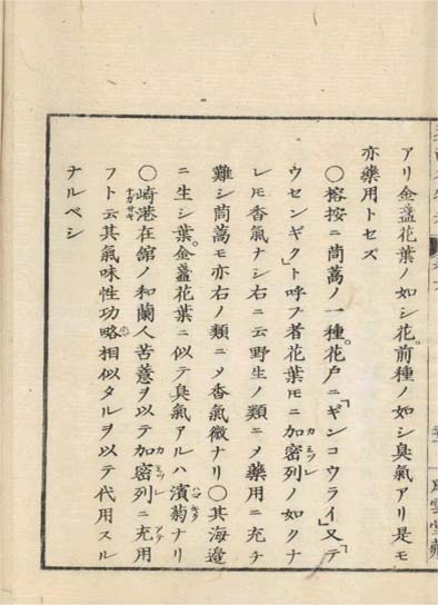 ensei iho meibutsuko v.6