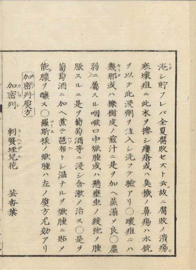 ensei iho meibutsuko v.6